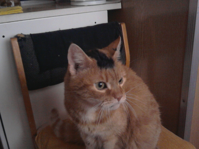 Filda.